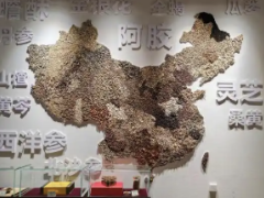 三伏灸、中药代茶饮受青睐 中医药养生正在“圈粉”年轻人