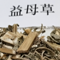 大量求购益母草鲜货